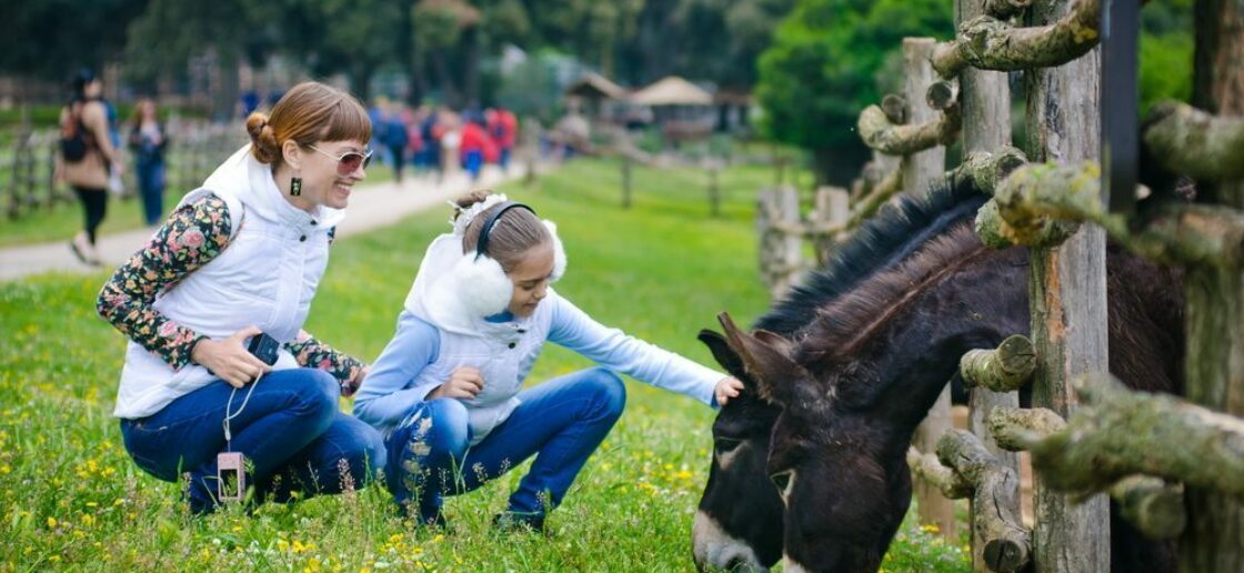 Les adultes sont souvent autant séduits par les ânes que leurs enfants
