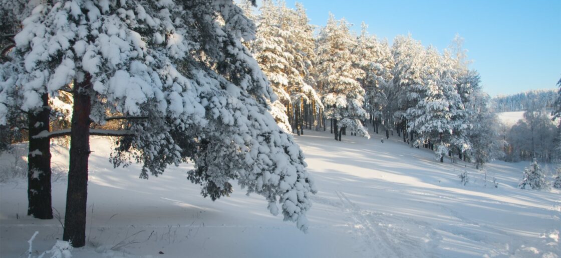 Couvrez-vous pendant la saison hivernale
