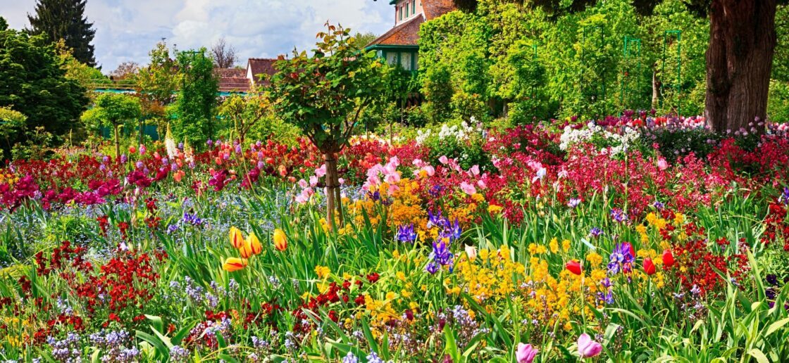 Les fleurs fleurissent de nouveau lors du printemps
