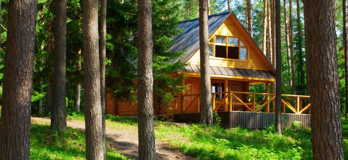 La maison des trois ours en plein coeur de la forêt 
