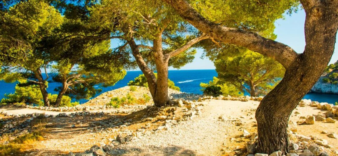 Les calanques les plus belles se découvrent lors de randonnées, comme ici sur la presqu’île de Port Miou
