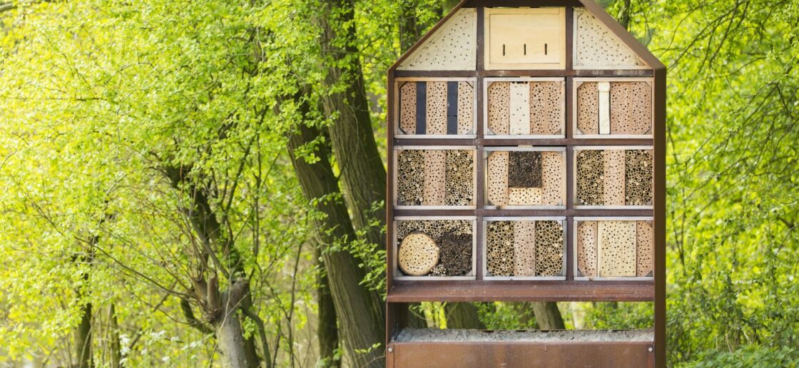 Construisez manuellement des hôtels à insectes !
