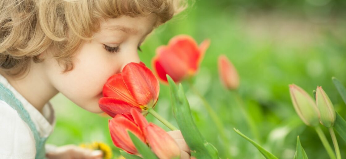 Pétales, senteur… Touchez et sentez les fleurs !
