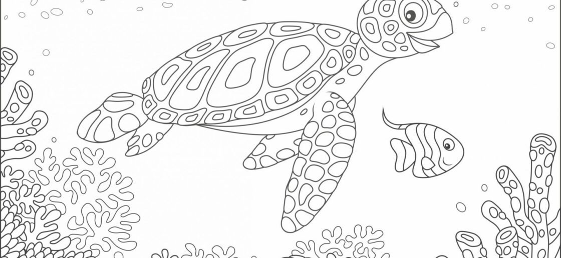 Coloriage de la tortue de mer
