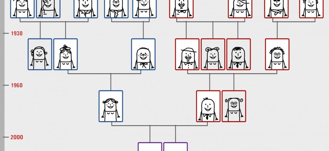 Un arbre généalogique peut être fait avec des portraits, des photos ou des noms de personnes
