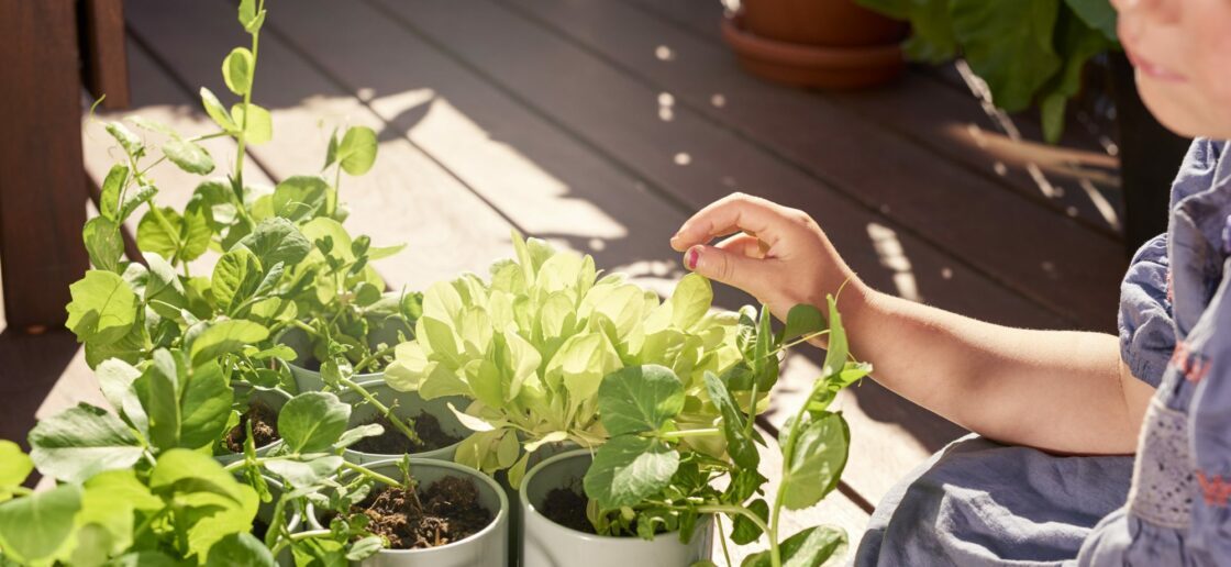 Des pots recyclés pour un petit jardin à portée de main
