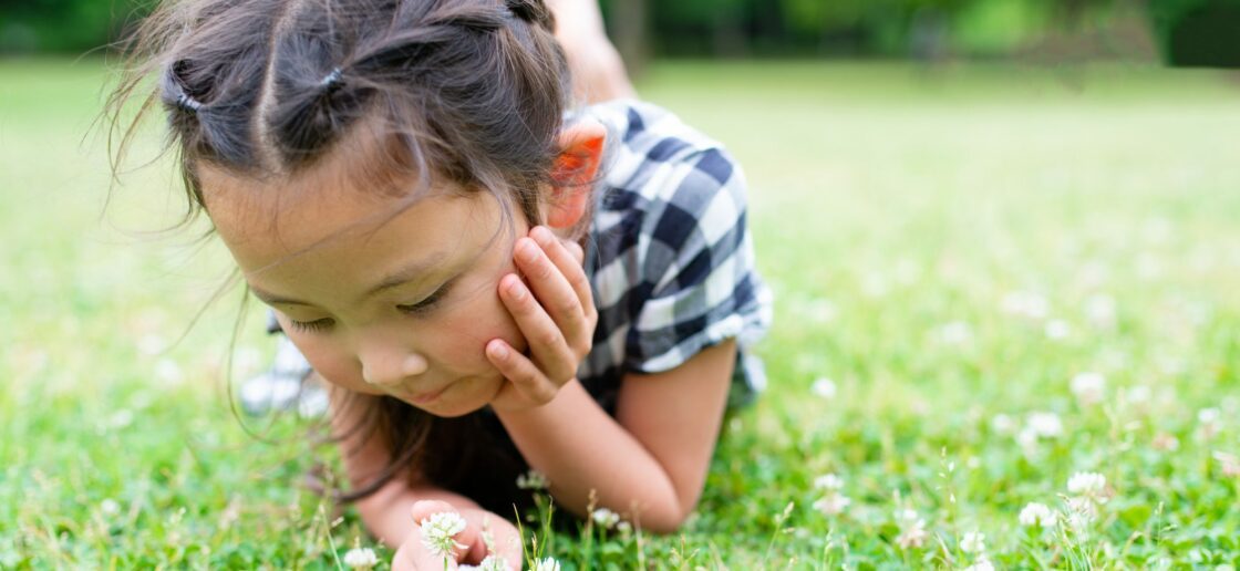 Entre les trèfles on y trouve de petits insectes intéressants à observer !
