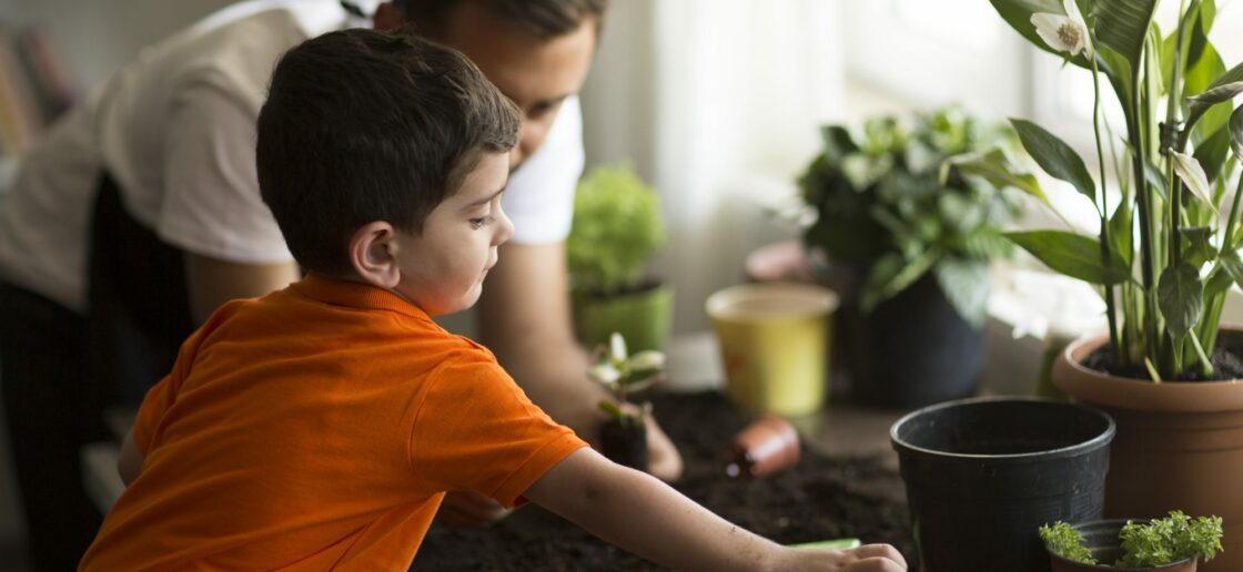 On peut aussi prendre soin de la Terre en créant son petit jardin.
