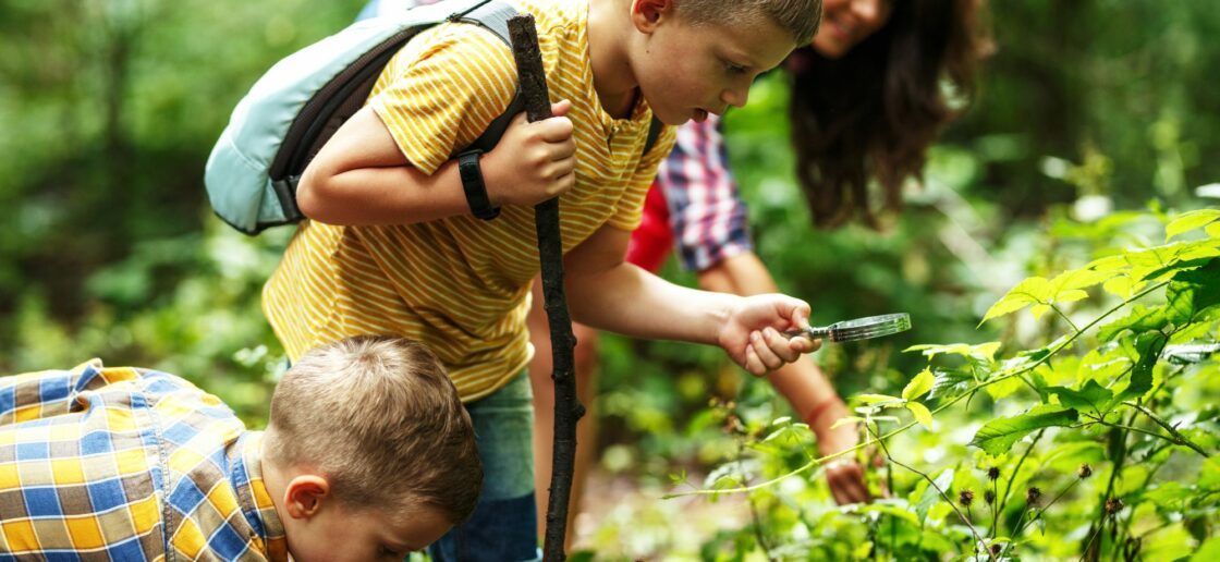 L’été, la nature offre une multitude de petites curiosités !
