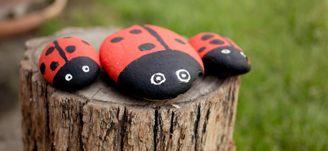 Idée pour aider les petits à créer un cadeau : un galet coccinelle peint !
