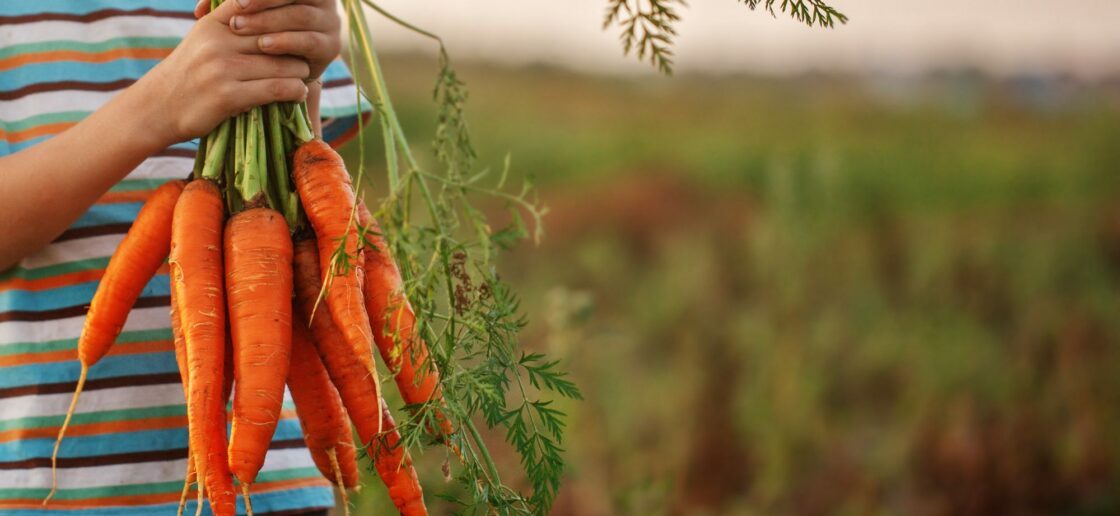 Sensibiliser les enfants à la protection de l’environnement est une bonne raison de passer la journée dans une ferme pédagogique !
