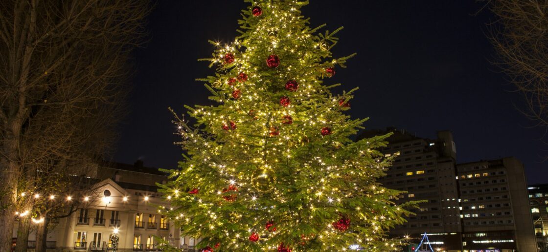 Racontez à vos enfants pourquoi il est coutume de décorer un sapin pour Noël !
