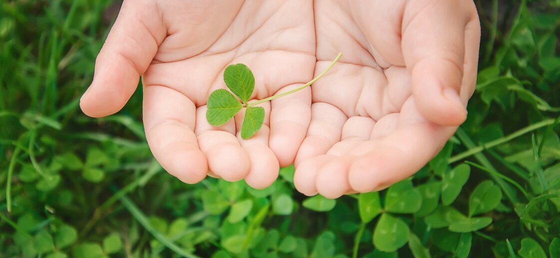 Le trèfle à 3 feuilles est le symbole de l’Irlande et non celui à 4 feuilles !
