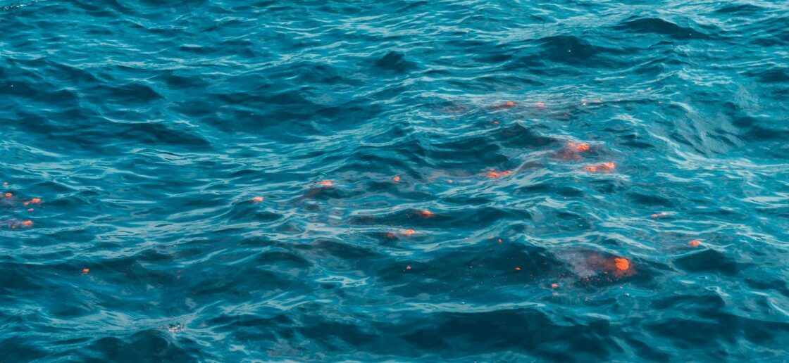 Les baleines remontent à la surface pour faire leur besoins. Leurs excréments sont rouges car elles se nourissent de krill, de tout petits crustacés !
