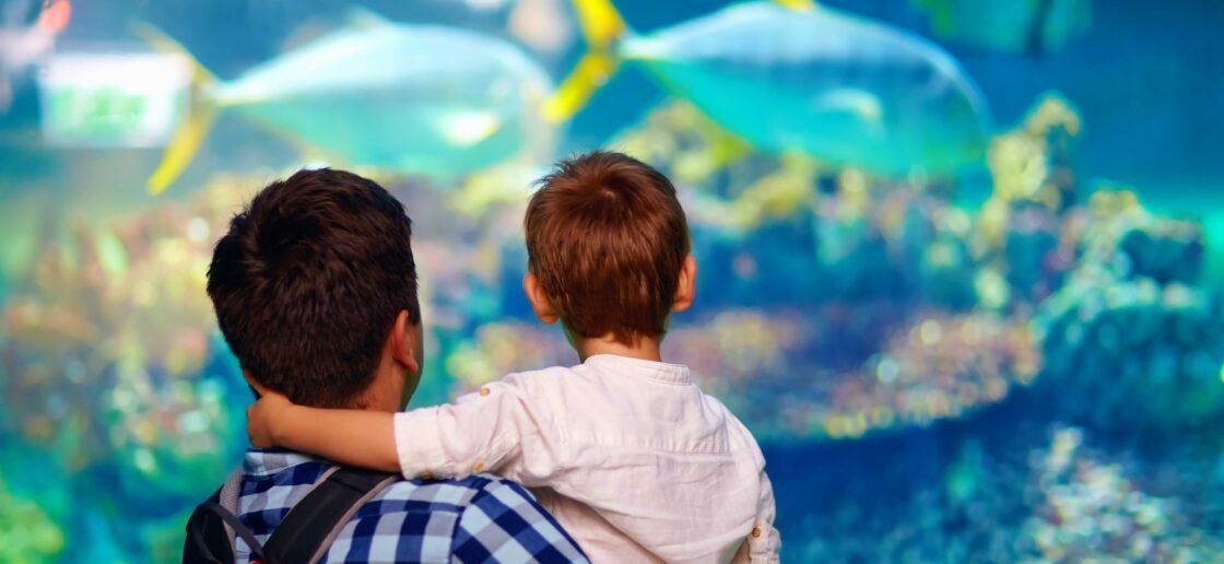 Plongée au coeur des plus beaux aquariums de France