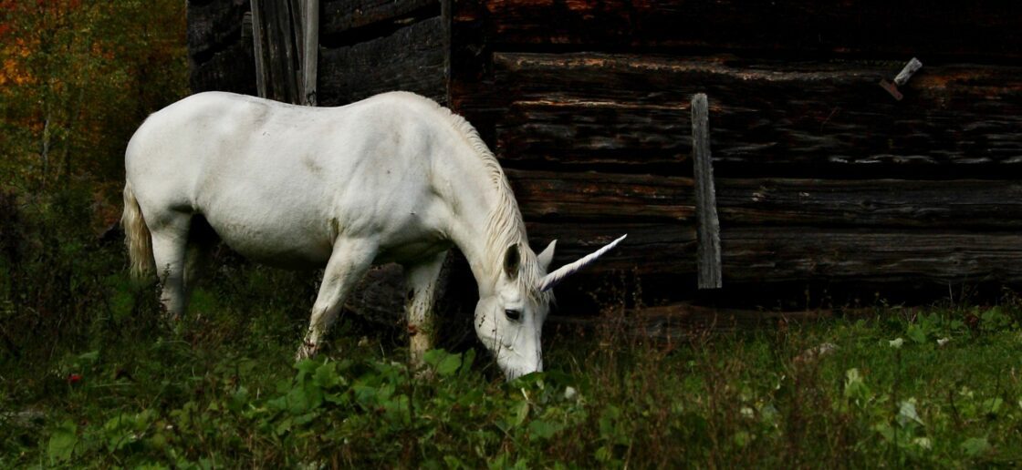 Qu’est-ce qu’une licorne ?