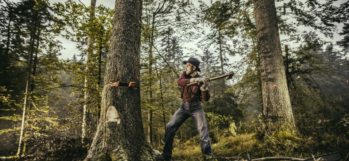 Histoire à raconter : La forêt et le bûcheron