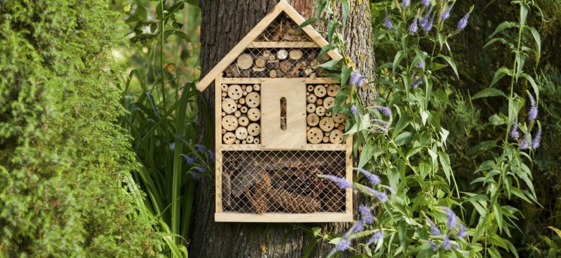 Fabriquer un hôtel à insectes pour leur offrir un coin au chaud pendant l’hiver