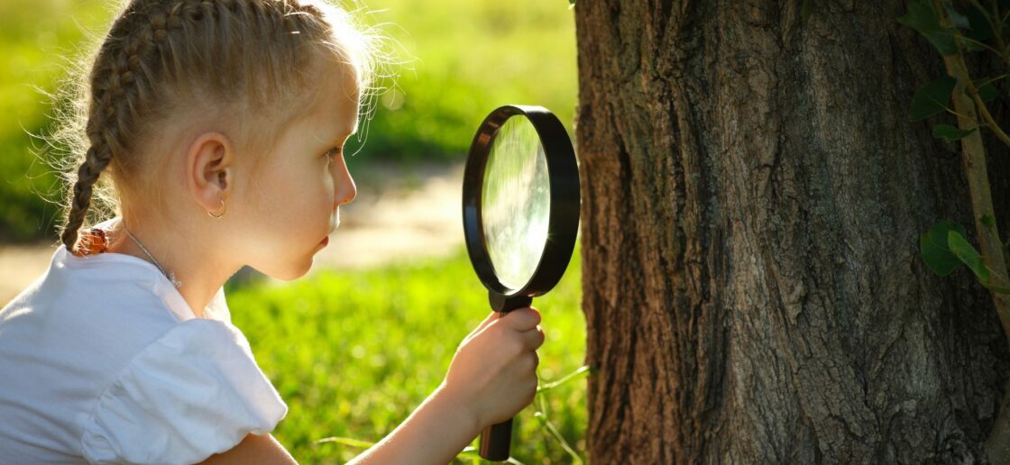 Reconnaître les arbres, un jeu d’enfant !