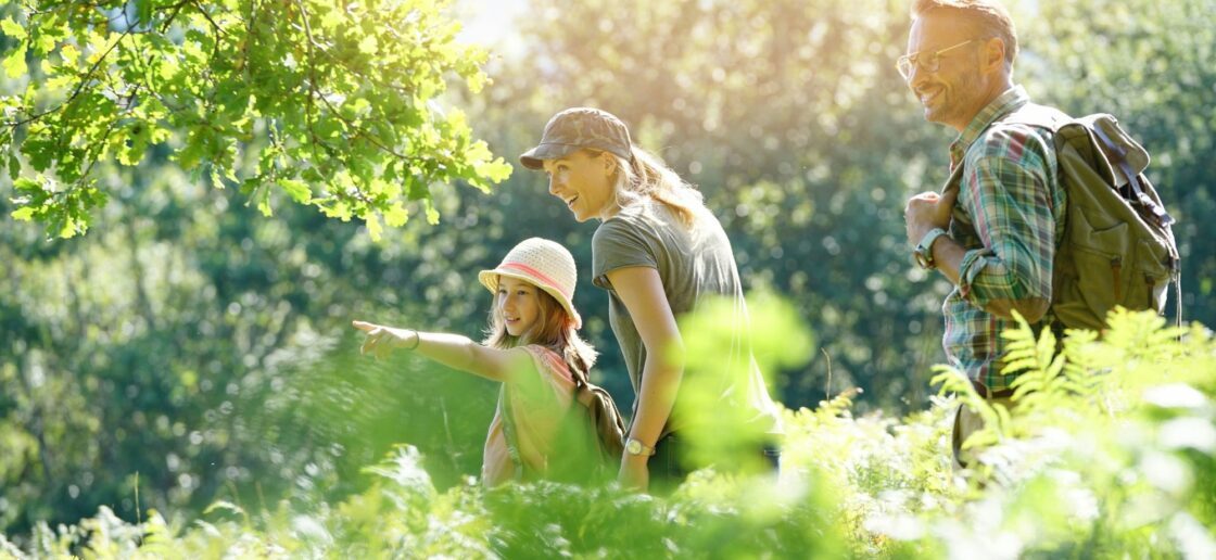 Qu’est-ce que la biodiversité et comment la préserver ?