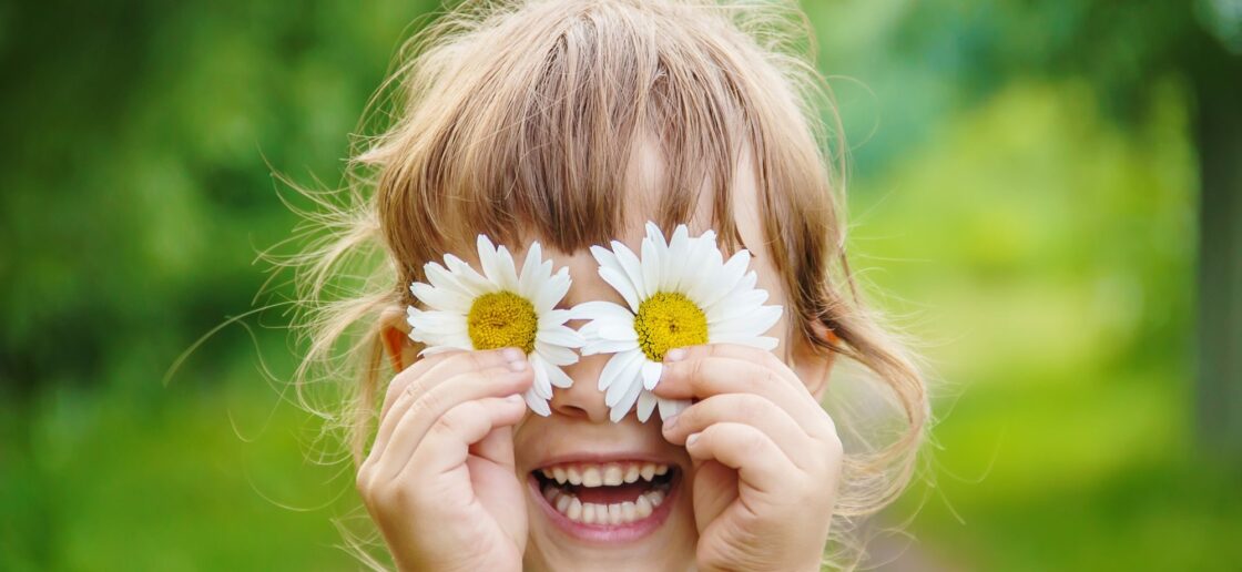 Les fleurs du printemps : les reconnaître et les collectionner