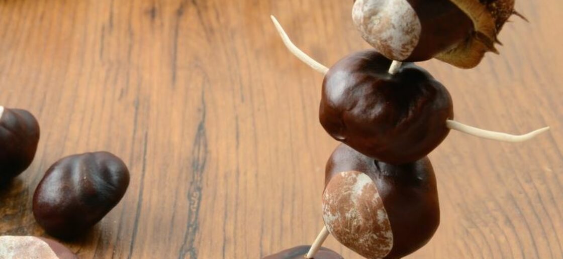 Balade en forêt : 3 idées de créations originales avec des marrons !