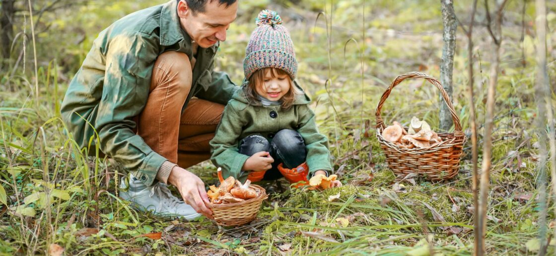 Coloriage Champignon : découvrir les couleurs de l’automne avec un dessin à colorier