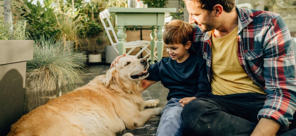 Adopter un animal en famille : comment bien se préparer ?