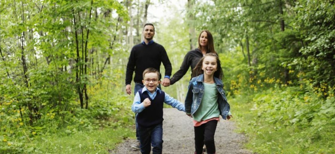 Top des balades en forêt à faire en famille