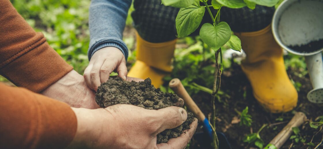 4 exemples de biodiversité et de ce qu’elle apporte à l’environnement