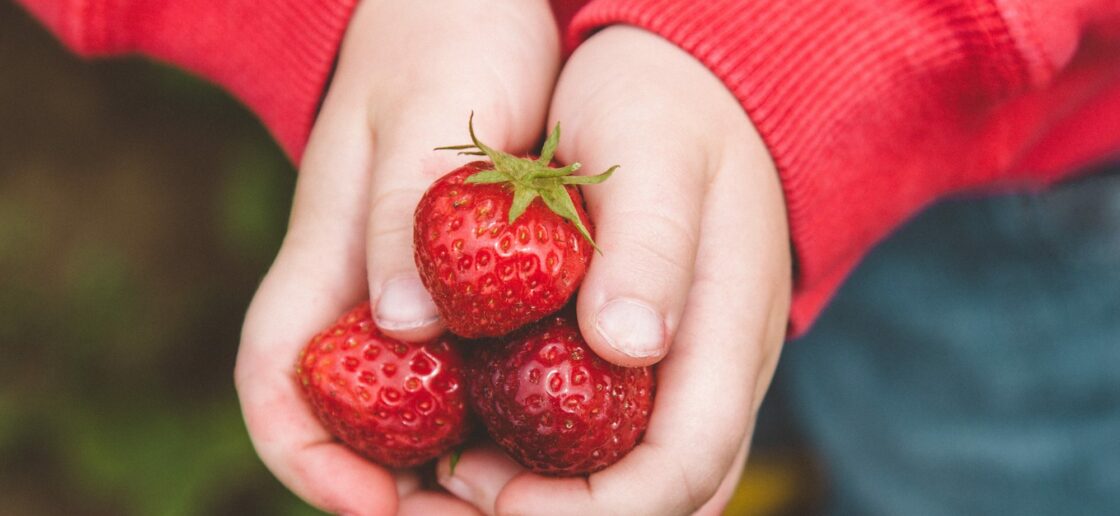 Avril : 3 produits de saison pour régaler les papilles de votre tribu