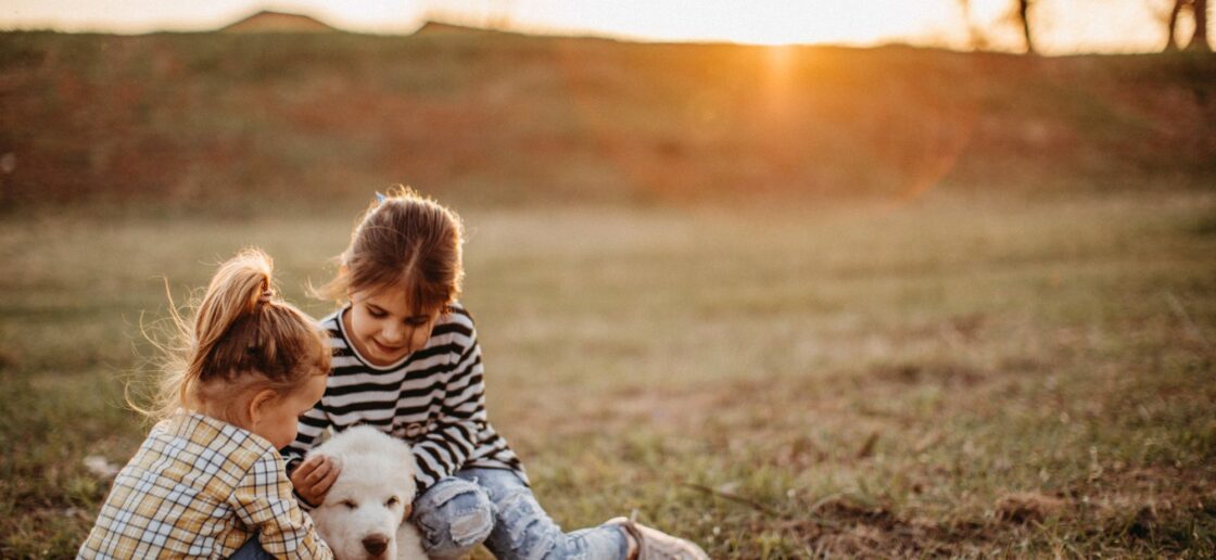 Un chien à colorier pour la journée de nos meilleurs amis !