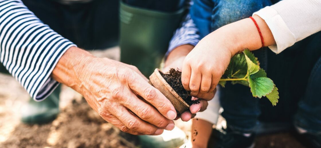 3 activités entre grands-parents et petits-enfants à faire