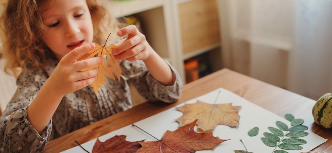 Green challenge : réalisez un herbier pour collectionner les feuilles d’automne !