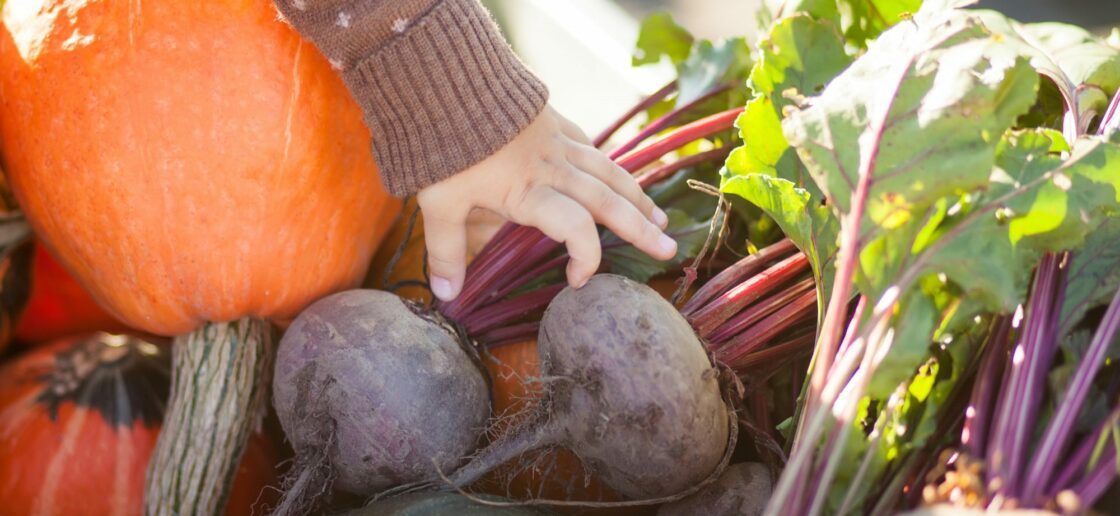 Quels légumes de saison consommer en décembre ?