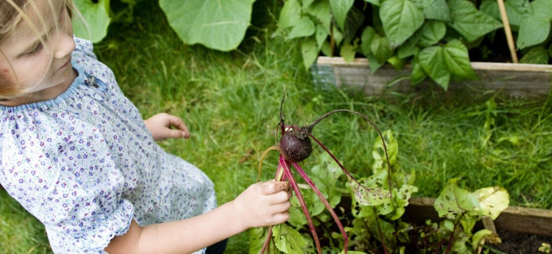 Quels sont les fruits et légumes de février pour consommer local et de saison ?