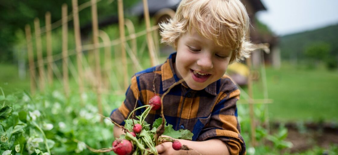 La permaculture, c’est quoi ?