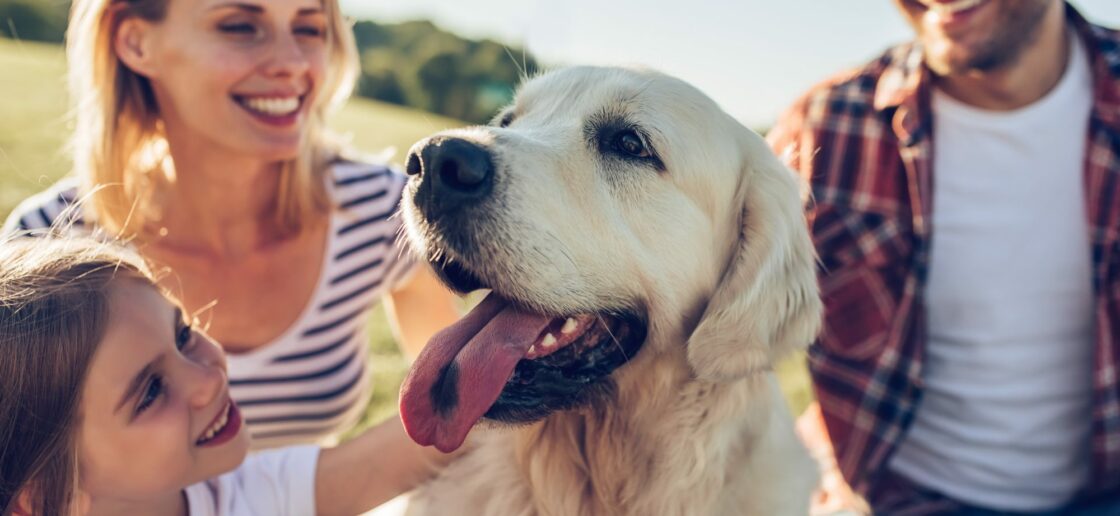 Les bienfaits des animaux sur les enfants