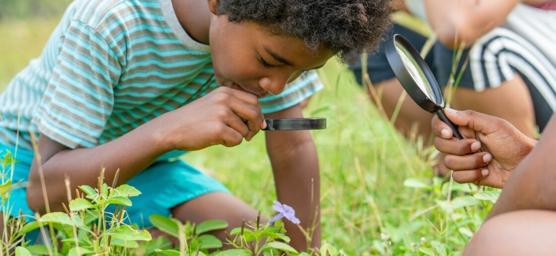 Quelle est la différence entre biodiversité et écosystème ?