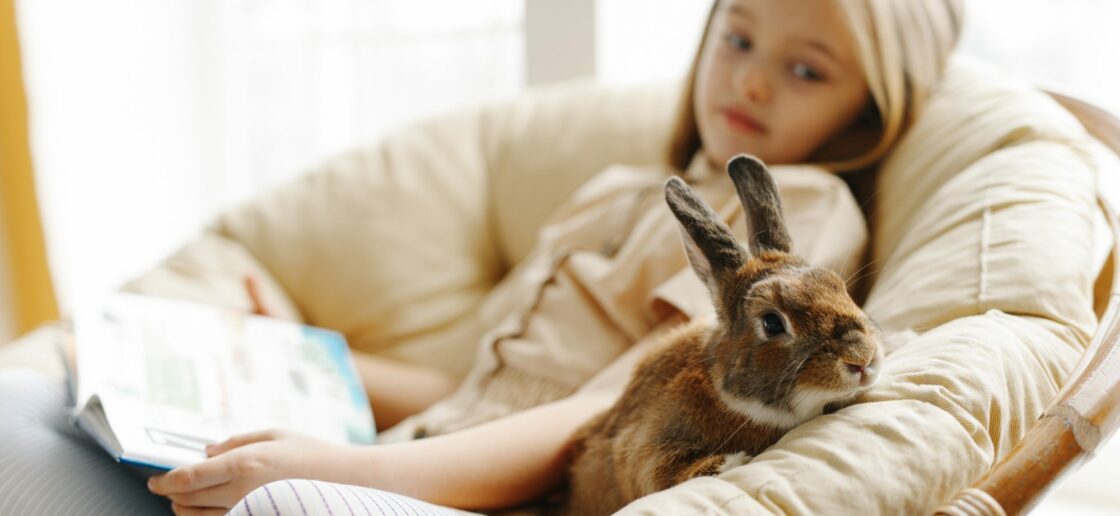 Quel animal de compagnie choisir pour un enfant ?