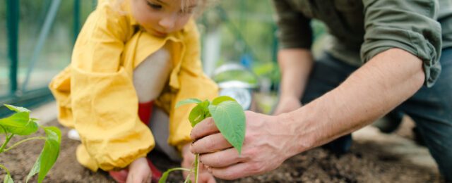 4 idées pour sensibiliser les enfants à l’écologie