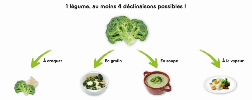 Un légume, au moins 4 décilinaisons possibles ! À croquer, en gratin, en soupe, à la vapeur